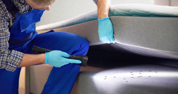 Best Pest Prevention Services  in Grosse Pointe Park, MI