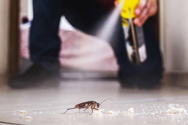 Trusted Grosse Pointe Park, MI Pest Control Experts