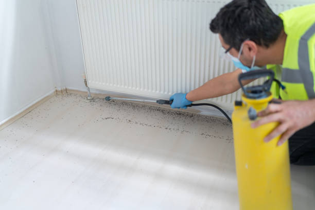 Best Emergency Pest Control  in Grosse Pointe Park, MI