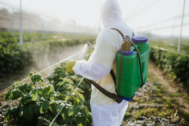 Best Residential Pest Control  in Grosse Pointe Park, MI